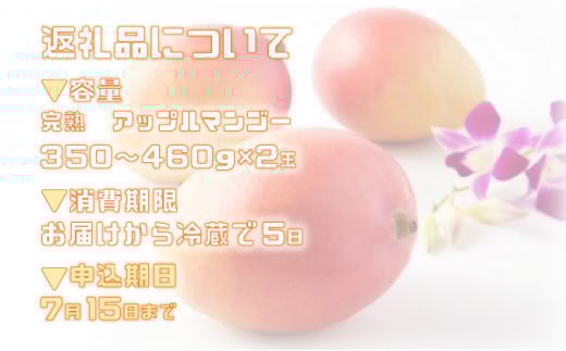 ＜2026年 先行予約＞完熟 アップルマンゴー 2L 350g～460g 2玉 マンゴー 果物 デザート 品評会連続入賞2026年 発送 ますみ農園
