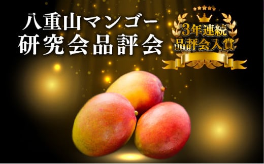 ＜2026年 先行予約＞完熟 アップルマンゴー 2L 350g～460g 2玉 マンゴー 果物 デザート 品評会連続入賞2026年 発送 ますみ農園