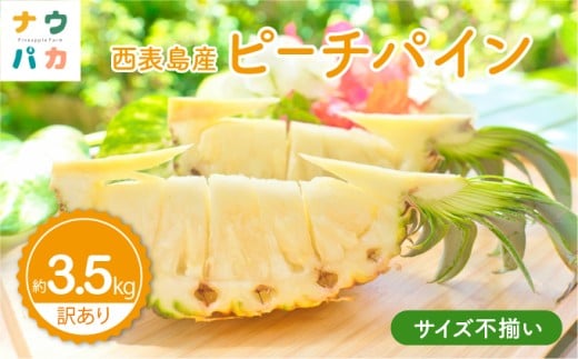 【訳あり】☆新感覚の味わい☆まるで桃のような甘～い香り　『西表島産完熟ピーチパイン』 約3.5kg