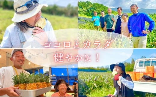 【訳あり】☆新感覚の味わい☆まるで桃のような甘～い香り　『西表島産完熟ピーチパイン』 約3.5kg