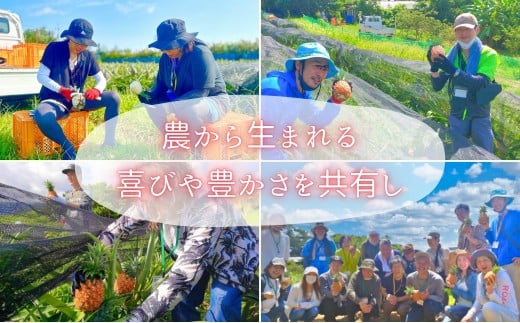 人æ°No.1ããåããŒãã®æ¹ã«å€§å¥œè©!!ãâæ°æèŠã®å³ãã!!âæ¡ã®ãããªçïœãéŠãã®ããè³éãªãã€ãããã«ïŒ çŽ800gïŒ1ïœ2åå
¥ïŒ