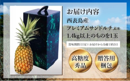 GOKUJUKU-極熟プレミアムサンドルチェ(R) 1.4kg以上 1玉　2026年　先行予約 パイナップル 沖縄 高糖度秀品 贈答用 贈り物 パイン 果物 フルーツ デザート 希少 西表島