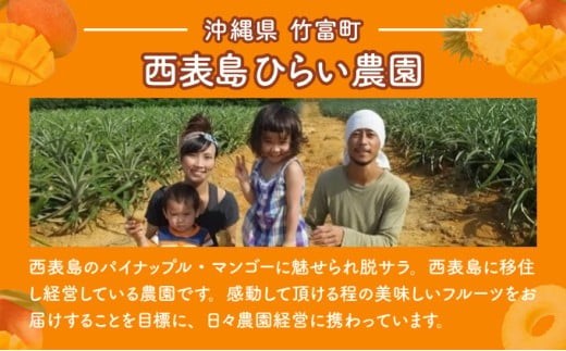 マンゴー 先行予約 沖縄 アップルマンゴー 約4kg 8～12玉 西表島 ひらい農園 2026年 発送 果物 フルーツ デザート 完熟 濃厚