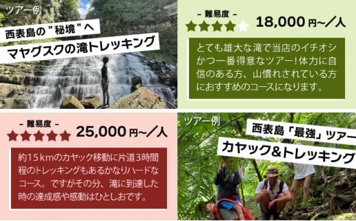 旅行券 沖縄 チケット 西表島 アクティビティ ツアーチケット 60,000円 旅行クーポン 旅行 体験 観光 クーポン