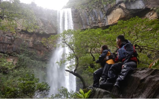 西衚島ãã³ã°ããŒãã«ããŒïŒããã€ãµãŒã©ã®æ» 1æ¥ãã©ã³ã»å³¶ãŠã¬ããä» 1åæ§