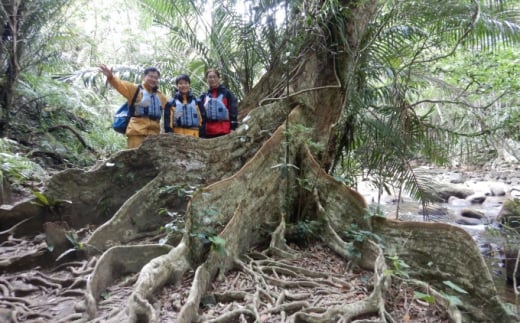 西衚島ãã³ã°ããŒãã«ããŒïŒããã€ãµãŒã©ã®æ» 1æ¥ãã©ã³ã»å³¶ãŠã¬ããä» 1åæ§