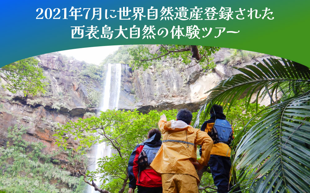 西衚島ãã³ã°ããŒãã«ããŒïŒããã€ãµãŒã©ã®æ» 忥ãã©ã³ 1åæ§