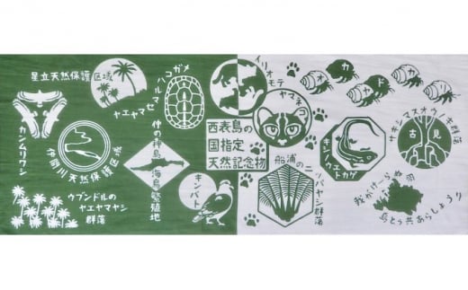 西表島マングローブカヌー＋ピナイサーラの滝 半日プラン・島てぬぐい付 1名様