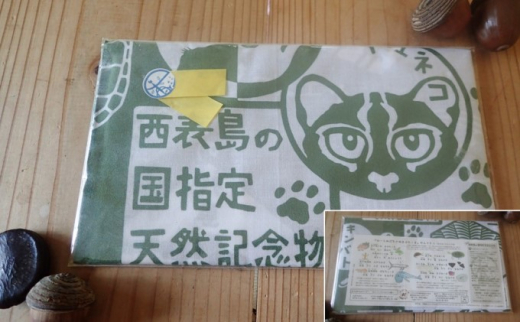 西表島マングローブカヌー＋ピナイサーラの滝 半日プラン・島てぬぐい付 1名様