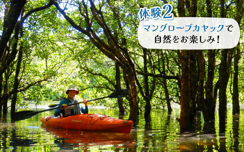 西衚島ãã³ã°ããŒãã«ããŒïŒããã€ãµãŒã©ã®æ» 忥ãã©ã³ 1åæ§