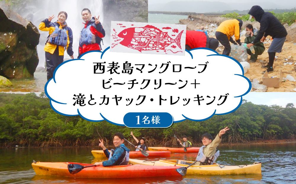 西表島マングローブビーチクリーン＋滝とカヤック・トレッキング 1名様