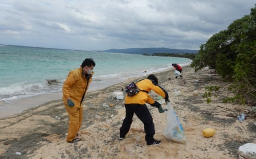西表島マングローブビーチクリーン＋滝とカヤック・トレッキング 1名様