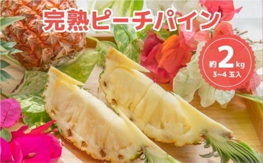 ☆新感覚の味わい☆桃のような芳醇な香りのする　『西表島産完熟ピーチパイン』 約2kg（3～4個入）
