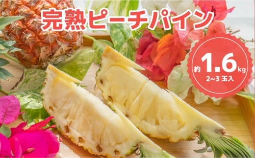 ☆新感覚の味わい☆桃のような芳醇な香りのする　『西表島産完熟ピーチパイン』約1.6kg（2～3個入）