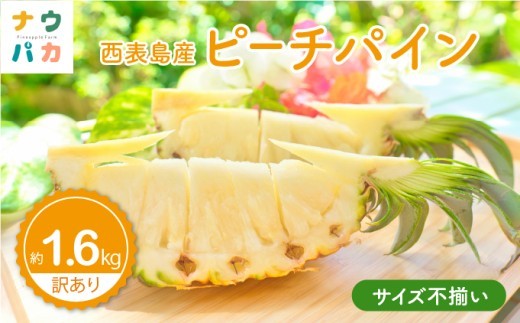 【訳あり】☆新感覚の味わい☆桃のような芳醇な香りのする　『西表島産完熟ピーチパイン』 約1.6kg