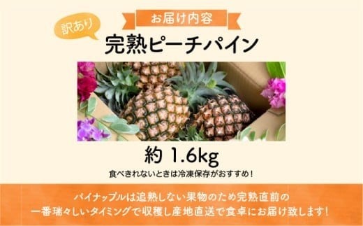 【訳あり】☆新感覚の味わい☆桃のような芳醇な香りのする　『西表島産完熟ピーチパイン』 約1.6kg