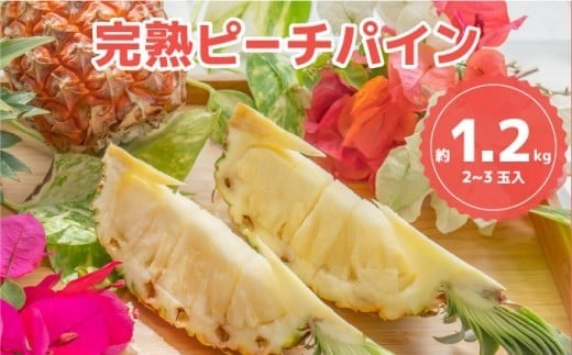 ☆新感覚の味わい☆桃のような芳醇な香りのする　『西表島産完熟ピーチパイン』 約1.2kg（2～3個入）