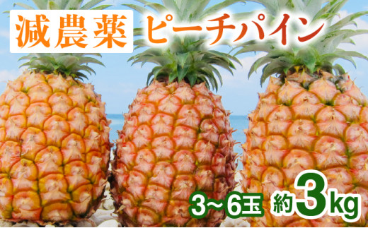 2026年 先行予約 栽培期間中 減農薬 ピーチパイン 約3kg 3～6玉 西表島アナナス農園 完熟 パイン 果物 フルーツ