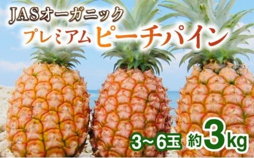 【JASオーガニック】 プレミアムピーチパイン 約3kg 3～6玉