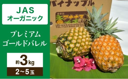 【JASオーガニック】 プレミアムゴールドバレル 約3kg 2～5玉