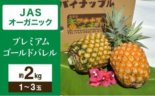 【JASオーガニック】 プレミアムゴールドバレル 約2kg 1～3玉