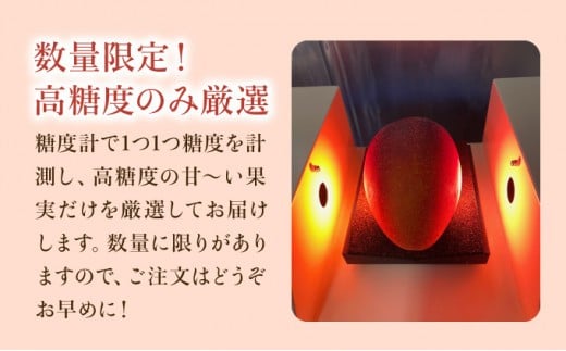 2026年 先行予約 【高糖度厳選】プレミアム完熟マンゴー1kg 2～3玉(栽培期間中 減農薬栽培) アナナス農園 完熟 マンゴー 果物 フルーツ