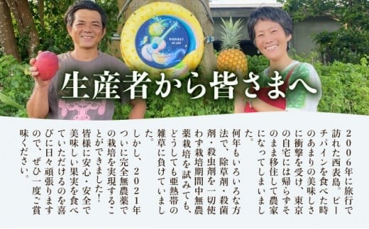 2026年 先行予約 【高糖度厳選】プレミアム完熟マンゴー1kg 2～3玉(栽培期間中 減農薬栽培) アナナス農園 完熟 マンゴー 果物 フルーツ