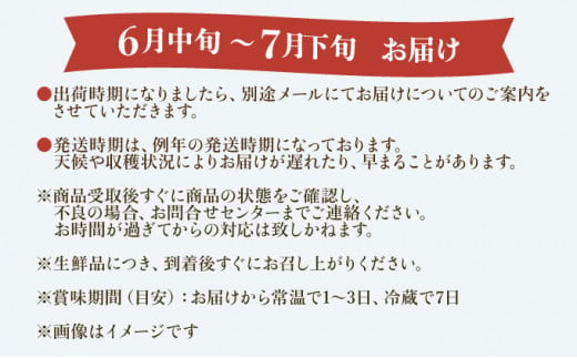 2026年 先行予約 栽培期間中 減農薬 アップルマンゴー 約1kg 2～4玉 アナナス農園 完熟 マンゴー 果物 フルーツ