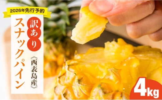 ＜訳あり！＞2026年先行予約　大きさ不揃いお得！箱にいっぱいスナックパイン4kgセット