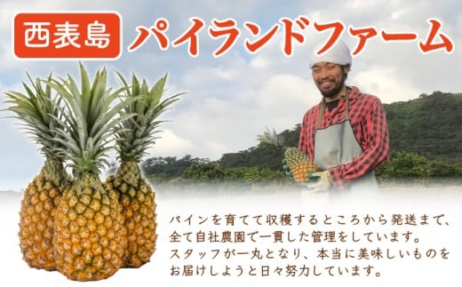 ïŒèš³ããïŒïŒ2026幎å
è¡äºçŽã倧ããäžæããåŸïŒç®±ã«ãã£ã±ãã¹ããã¯ãã€ã³4kgã»ãã