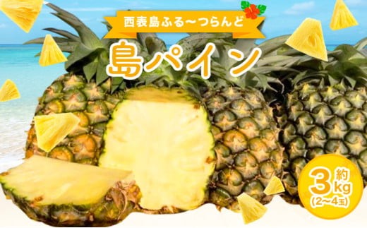 2026年 先行予約 島パイン (ハワイ種) 約3kg (2～4玉) パイナップルの王道 西表島産 パイン 果物 フルーツ