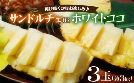 新品種パイン　『サンドルチェ』または『ホワイトココ』３玉セット　約３ｋｇ西表島産