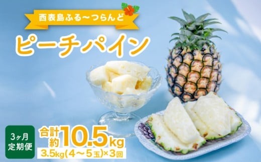 定期便 3ヶ月 2026年 先行予約 ピーチパイン 約3.5kg(4～5玉)×3回 ピーチパイン好きにおすすめ♪ ☆西表島ふる～つらんど☆ パイン 果物 フルーツ