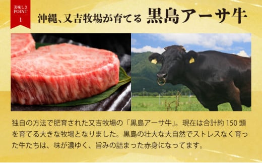 鮟貞ウカ繧「繝シ繧オ迚帙そ繝繝 ( 繝上Φ繝舌シ繧ー 150gテ8 繧オ繝シ繝ュ繧、繝ウ 150gテ2 繧「繝シ繧オ 250g )
