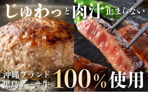鮟貞ウカ繧「繝シ繧オ迚帙そ繝繝 ( 繝上Φ繝舌シ繧ー 150gテ8 繧オ繝シ繝ュ繧、繝ウ 150gテ2 繧「繝シ繧オ 250g )