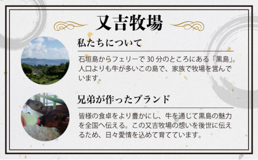鮟貞ウカ繧「繝シ繧オ迚帙そ繝繝 ( 繝上Φ繝舌シ繧ー 150gテ8 繧オ繝シ繝ュ繧、繝ウ 150gテ2 繧「繝シ繧オ 250g )