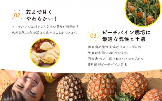 パイン ジュース ITQI2021 三ツ星受賞 47個