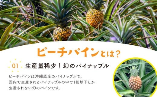 パイン ジュース ITQI2021 三ツ星受賞 35個