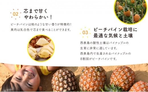 パイン ジュース ITQI2021 三ツ星受賞 7個