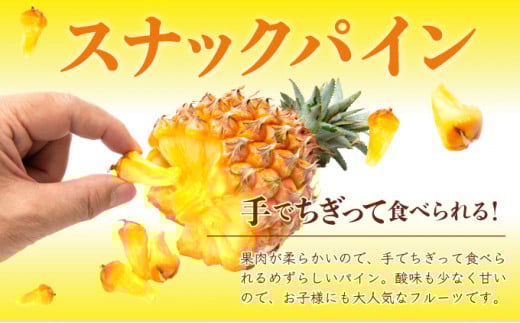 定期便3ヶ月4回 熟鮮スナックパイン 熟鮮ピーチパイン 熟鮮サンドルチェ(R) 3種の旬のパインと アップルマンゴーセット 2026年 先行予約 産地直送 沖縄 西表島