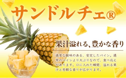 定期便3ヶ月4回 熟鮮スナックパイン 熟鮮ピーチパイン 熟鮮サンドルチェ(R) 3種の旬のパインと アップルマンゴーセット 2026年 先行予約 産地直送 沖縄 西表島