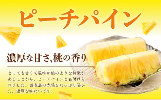 定期便3ヶ月4回 熟鮮スナックパイン 熟鮮ピーチパイン 熟鮮サンドルチェ(R) 3種の旬のパインと アップルマンゴーセット 2026年 先行予約 産地直送 沖縄 西表島
