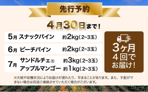 定期便3ヶ月4回 熟鮮スナックパイン 熟鮮ピーチパイン 熟鮮サンドルチェ(R) 3種の旬のパインと アップルマンゴーセット 2026年 先行予約 産地直送 沖縄 西表島