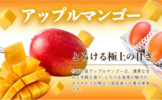 定期便3ヶ月4回 熟鮮スナックパイン 熟鮮ピーチパイン 熟鮮サンドルチェ(R) 3種の旬のパインと アップルマンゴーセット 2026年 先行予約 産地直送 沖縄 西表島