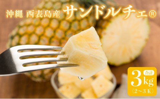 熟鮮サンドルチェ(R) 3kg(2～3玉 )2026年 先行予約 パイン沖縄 西表島産 レア品種 沖縄 西表島産 果物 フルーツ