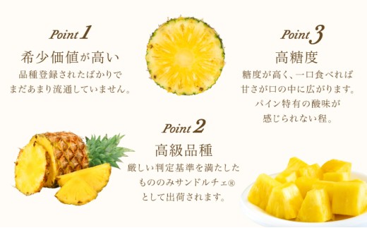 çé®®ãµã³ãã«ãã§(R) 3kg(2ïœ3ç )2026幎 å
è¡äºçŽ ãã€ã³æ²çž è¥¿è¡šå³¶ç£ ã¬ã¢åçš® æ²çž è¥¿è¡šå³¶ç£ æç© ãã«ãŒã
