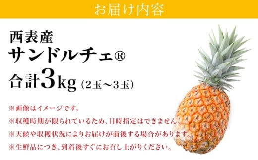çé®®ãµã³ãã«ãã§(R) 3kg(2ïœ3ç )2026幎 å
è¡äºçŽ ãã€ã³æ²çž è¥¿è¡šå³¶ç£ ã¬ã¢åçš® æ²çž è¥¿è¡šå³¶ç£ æç© ãã«ãŒã