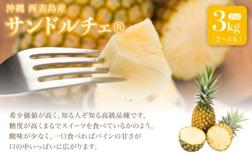 çé®®ãµã³ãã«ãã§(R) 3kg(2ïœ3ç )2026幎 å
è¡äºçŽ ãã€ã³æ²çž è¥¿è¡šå³¶ç£ ã¬ã¢åçš® æ²çž è¥¿è¡šå³¶ç£ æç© ãã«ãŒã