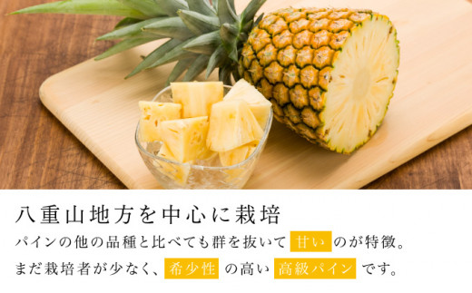 çé®®ãµã³ãã«ãã§(R) 3kg(2ïœ3ç )2026幎 å
è¡äºçŽ ãã€ã³æ²çž è¥¿è¡šå³¶ç£ ã¬ã¢åçš® æ²çž è¥¿è¡šå³¶ç£ æç© ãã«ãŒã