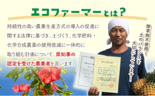 å®æäŸ¿ 2ã¶æ çµ¶åããŒããã€ã³ çŽ9.5kg ãP-SOU/Pã2026幎 å
è¡äºçŽ â
ãã£ã·ã倧家æãµã€ãºâ
西衚島 åãšã³ãã¡ãŒããŒèªå® ãã€ã³ æç© ãã«ãŒã 2å ãæ¥œãã¿ã036-a009ã